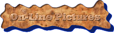 On-Line Pictures.gif (27553 bytes)